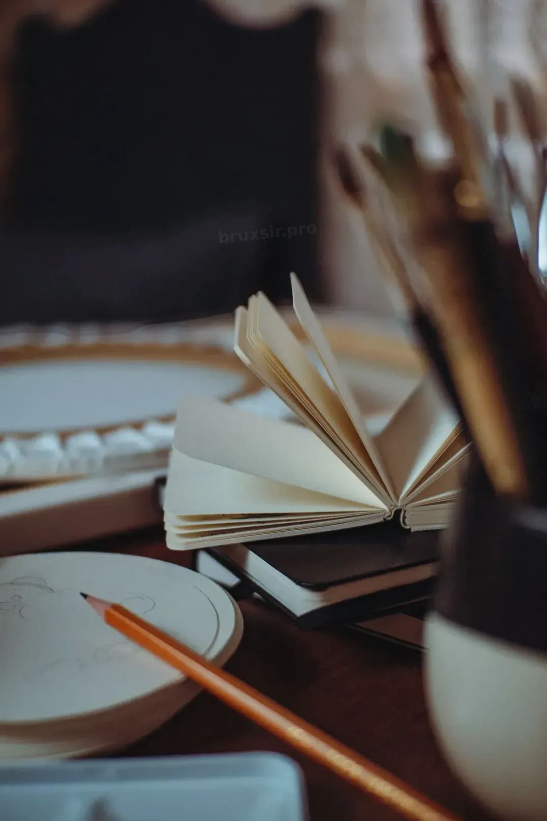 Cómo un buen estudio puede elevar la presencia de tu marca